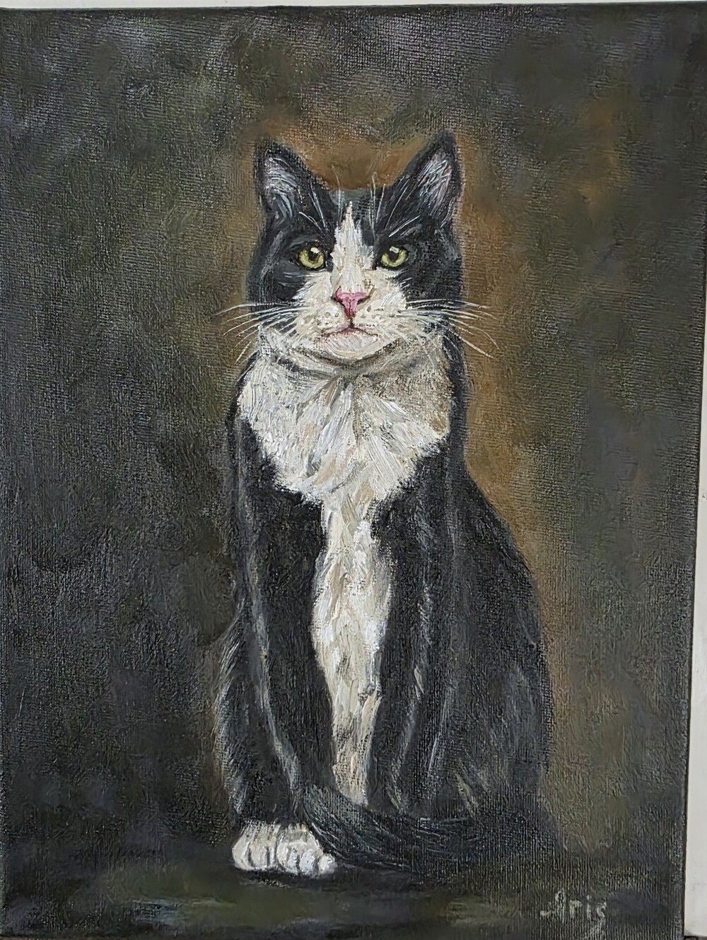 Abstract oil Painting cute Tuxedo cat